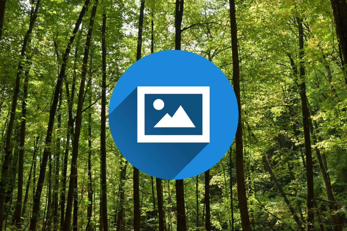 Google Image Search Cover